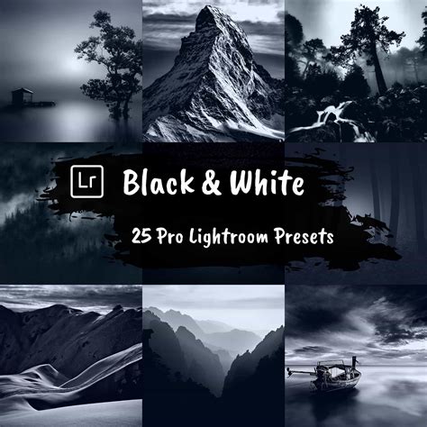300 Lightroom Presets Ultimate Bundle | 13 Packs for Desktop & Mobile ...