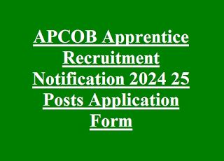 APCOB Apprentice Recruitment Notification 2024 25 Posts Application ...
