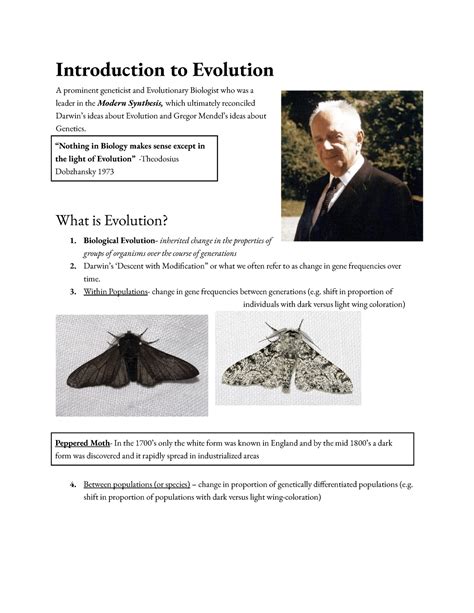 Image result for Evolution From Nothing Explained