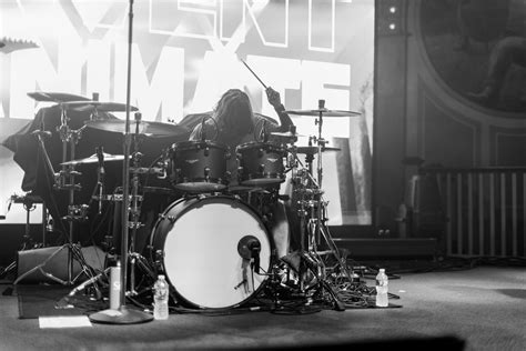 Invent Animate Singer 的图像结果