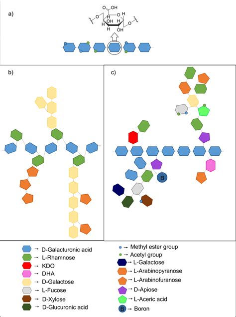 Image result for Pectin Structure