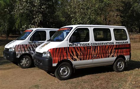 World Tiger Day 2024: How Belinda Wright Charted A New Story For ...