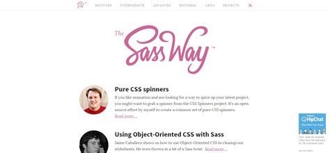 Sass Partner Program 的图像结果