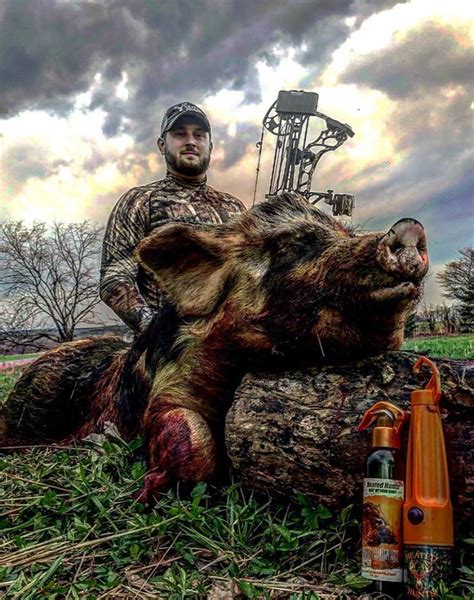 Image result for Exploding Hog Hunting