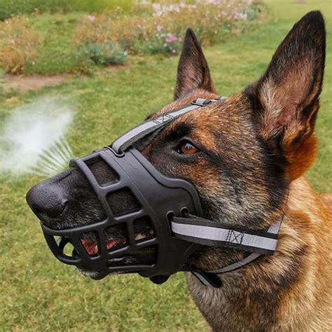 Amazon.com : Dog Muzzle, Soft Basket Muzzle for Dogs, Dog Mouth Guard ...