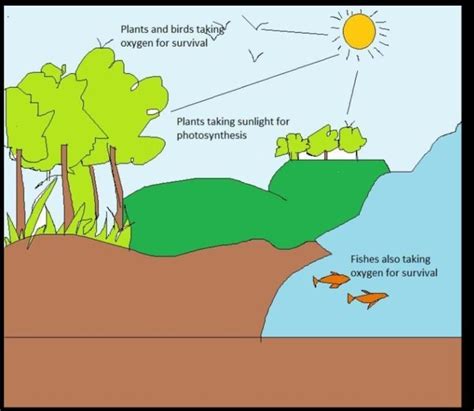with the help of a diagram, explain the interaction among various ...