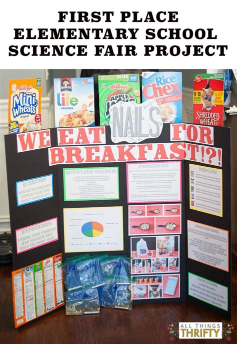 Elementary Science Fair Projects 的图像结果