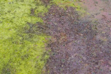 Image result for Rust No Background