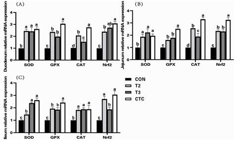 The Effects of Tea Polyphenols in Feed on the Immunity, Antioxidant ...