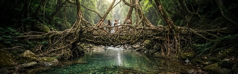 Custom Meghalaya Holiday Packages | Family, Couple & Group Tours