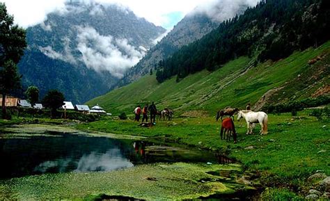 Upto 10% off Kashmir Tour Package 7 Nights / 8Day | Sharp Holidays
