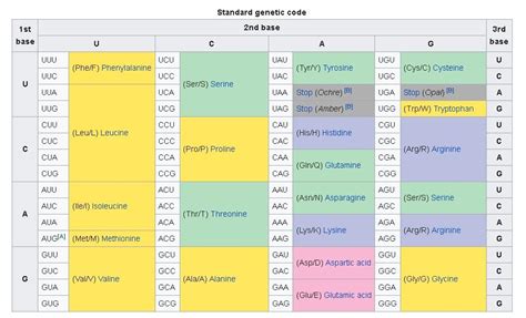 Image result for What Is Genetic Code