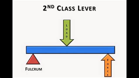 Image result for Class 2 Lever