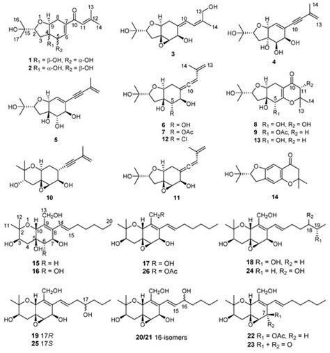 Polyketide Derivatives from Mangrove Derived Endophytic Fungus ...