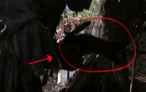 Monty Python Cat Beating 的图像结果