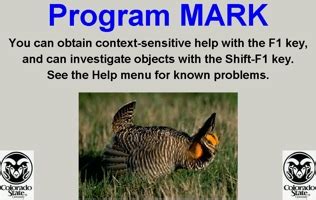How to Use Program Mark 的图像结果