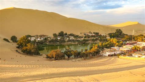 Excursión a Ica y Huacachina, Paracas - Central de Reservas