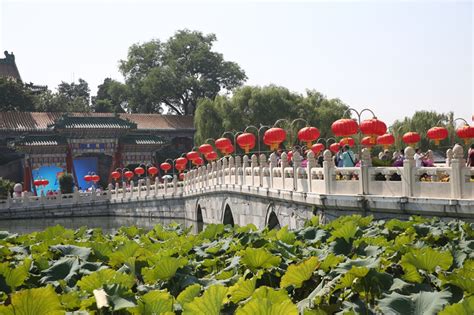 北京市公园预留限流比例调整为75％，迎双节40个公园活动-足够资源