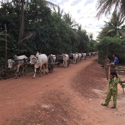 CAMBODIAN COMMUNITY EXPERIENCES (2026) All You Need to Know BEFORE You ...