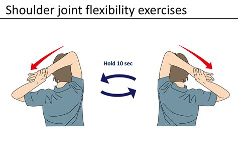 Shoulder Internal External Rotation Movement | Physio Visuals ...