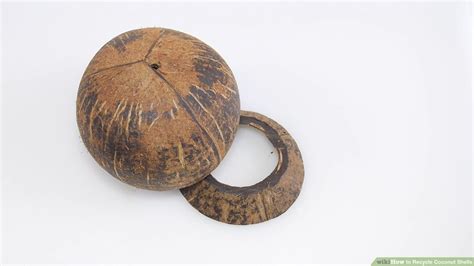 Image result for Best Out of Waste Using Coconut Shell