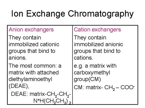 Image result for Anion Exchange Example