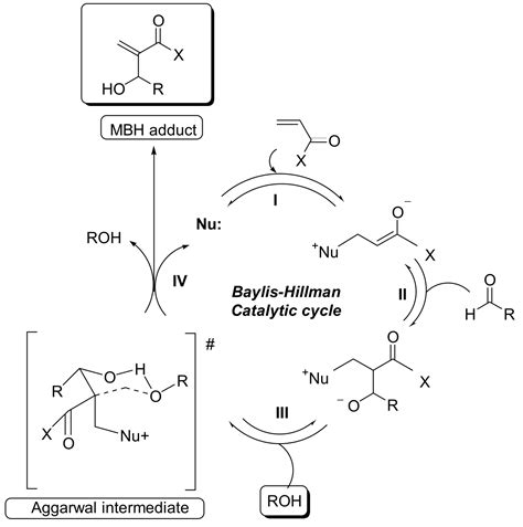 The Morita-Baylis-Hillman Reaction: Insights into Asymmetry and ...