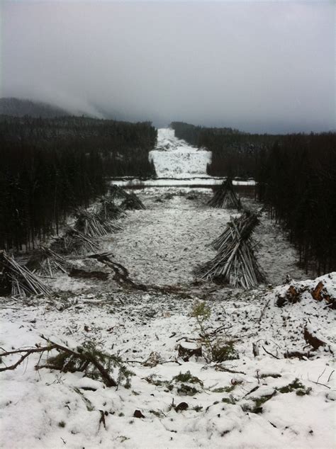Northwest Transmission Line - BC Hydro | Timber Baron | Forestry ...