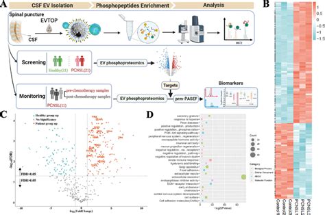 Image result for CSF Sample