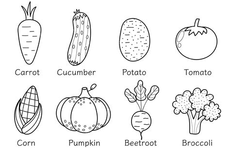 Colección de verduras en blanco y negro en estilo de dibujos animados ...