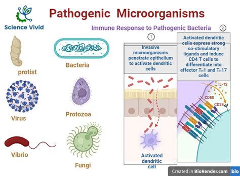 Image result for Pathogenicity of Microorganisms
