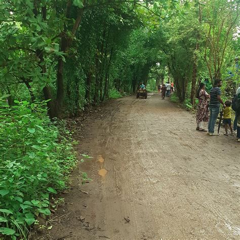 SAGUNA BAUG (Neral, Maharashtra) - Specialty Resort Reviews & Photos ...
