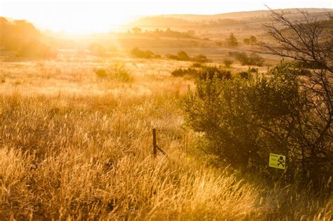 Image result for Humankind Seeds