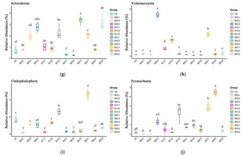 The Combination of Biochar and Bacillus subtilis Biological Agent ...