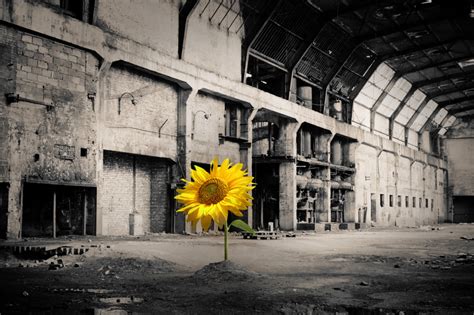 Image result for Vortex Web Design