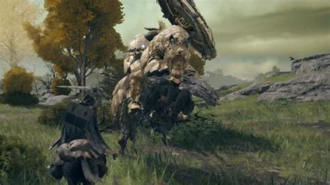 Image result for Tree Sentinel Gauntlets