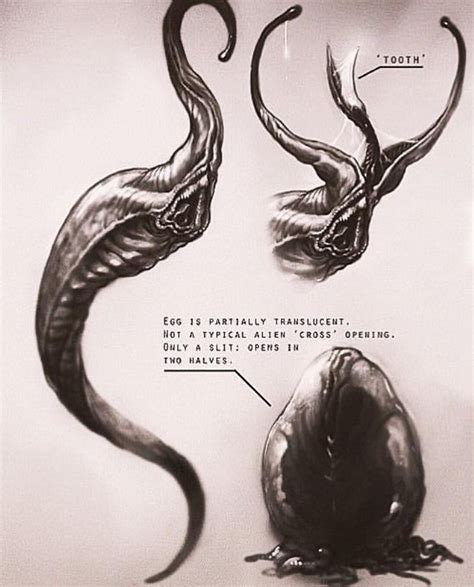 Image result for Alien Parasite Infestation Artwork