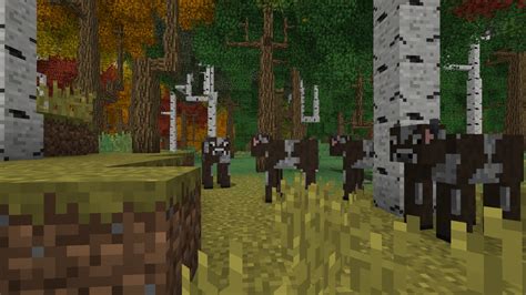 Image result for RL Craft Download Java