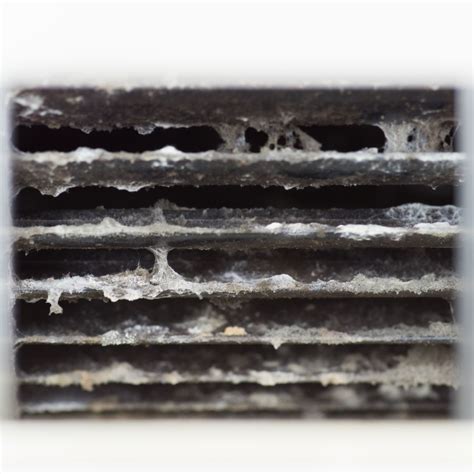 Black Mold In An Air Conditioner? 7 Tips To Clean It Easily