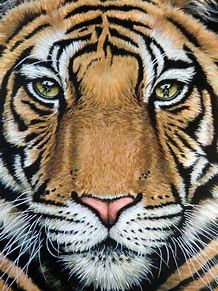 tutorial pencil art drawings beginners