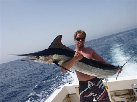 Super day out on the Cavalier - Reviews, Photos - Cavalier & Blue ...