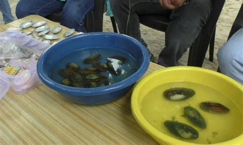 Atmanirbhar! 3 Friends Quit Their Jobs, Started Farming Oysters And Are ...