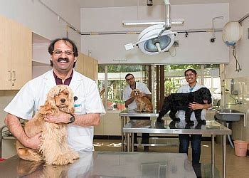 3 Best Veterinary Hospitals in Gurugram, HR - ThreeBestRated