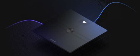 Nerve health and visceral fat measurement with Withings – Wearables