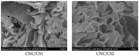 Fabrication of Cellulose Nanocrystal/Chitosan Hydrogel for Controlled ...