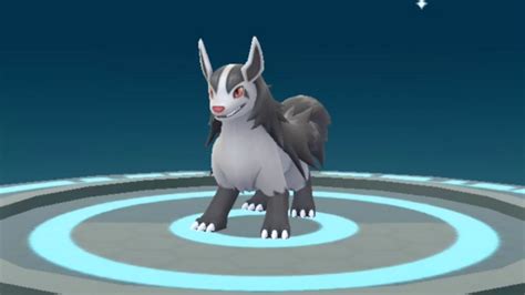 Image result for Poochyena Evolution Level
