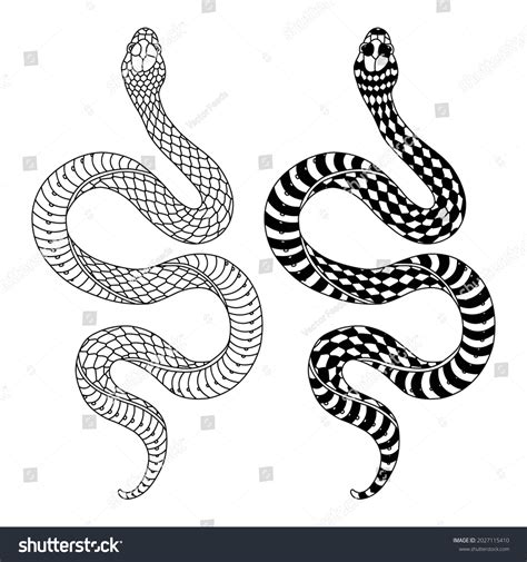 88,860 Black_and_white_snake Images, Stock Photos & Vectors | Shutterstock