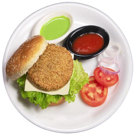 Plant Based Chicken Patty Fry | Ready to Cook Chicken Fry Patty ...