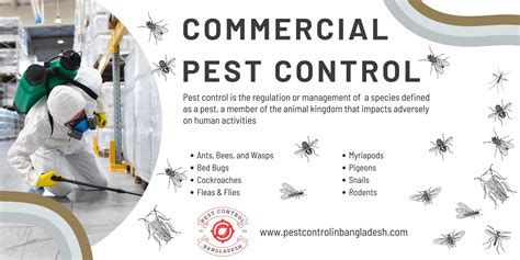 Reliable Commercial Pest Control Services | Protect Your Business from ...