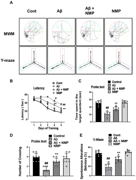 Neuroprotective Effects of N-methyl-(2S, 4R)-trans-4-hydroxy-L-proline ...